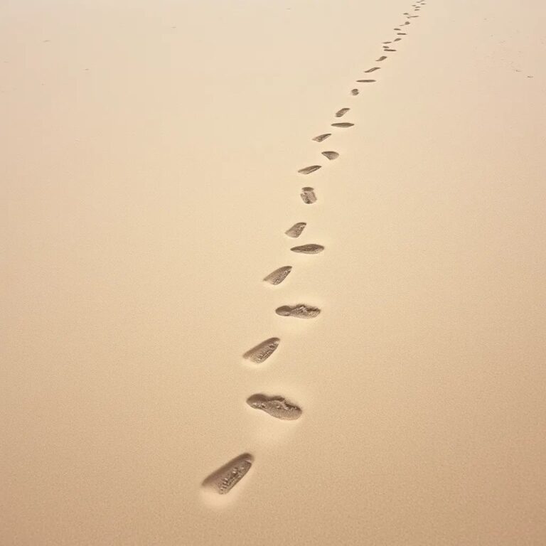Des pas sur le sable