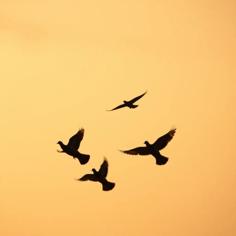 Des silhouettes de colombes dans un ciel doré