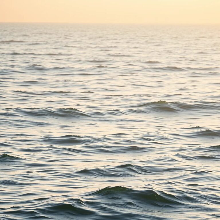 Des vagues dans la lumière du matin