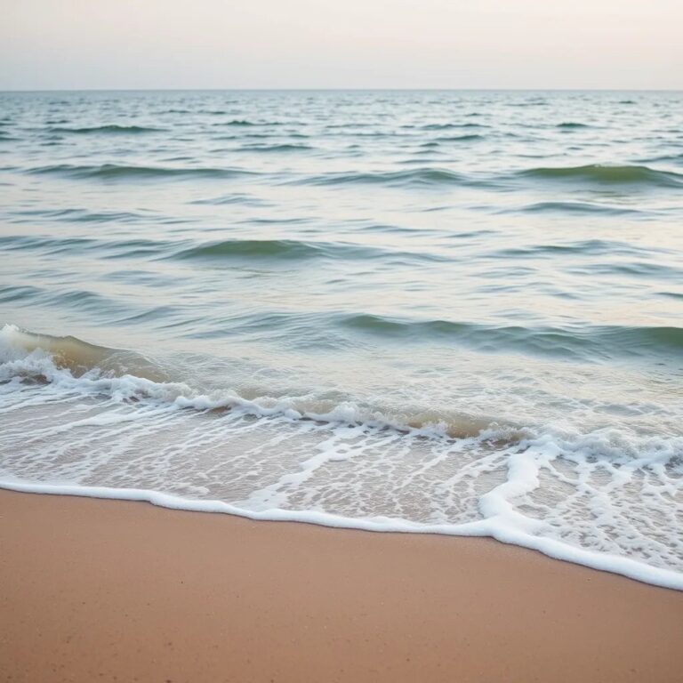 Des vagues douces sur une plage de sable