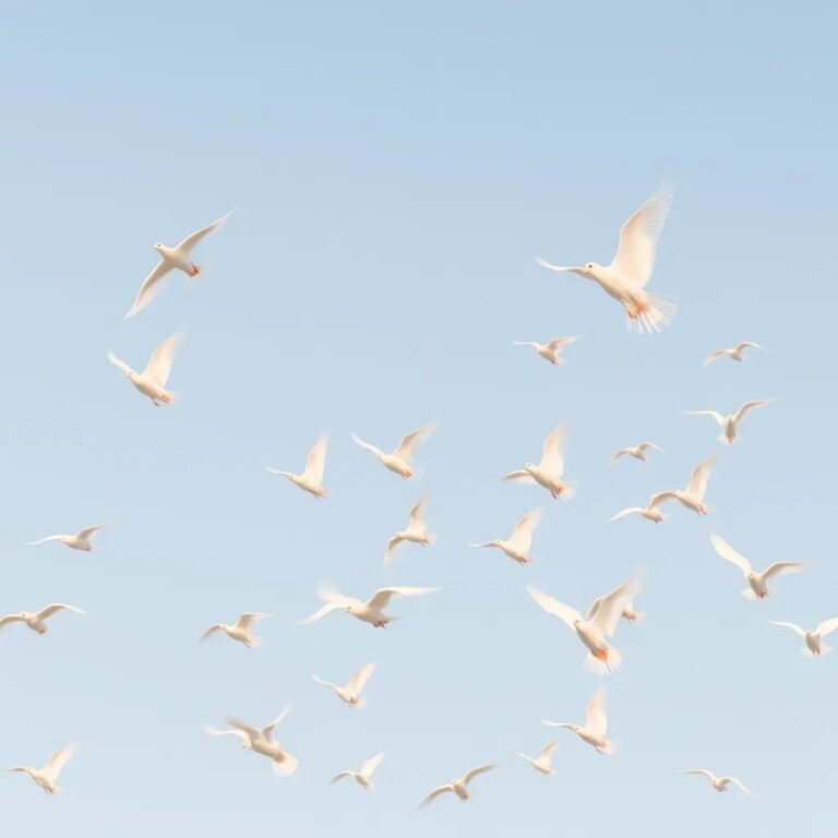 Un vol de colombes blanches dans un ciel clair
