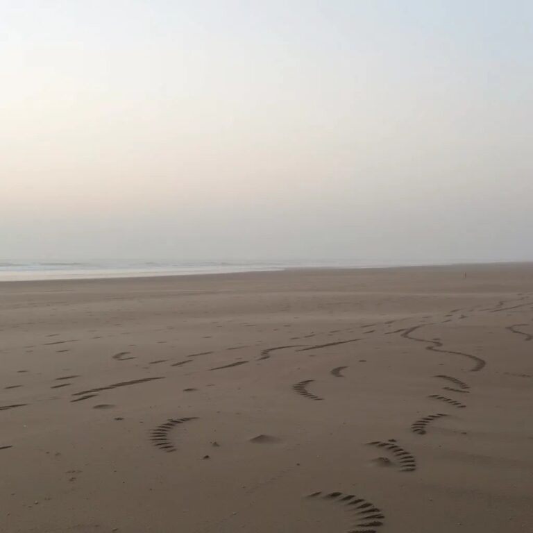 Une plage déserte à l'aube